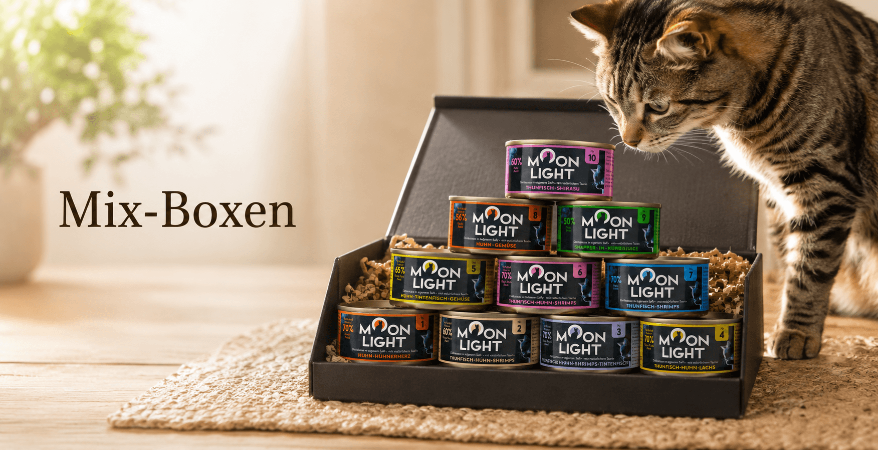 Mix-Boxen