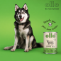 Preview: OlloDog - Hundefutter Booster Grüne Pansen 400 g