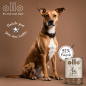 Preview: OlloDog - Hundefutter Purer Hirsch 400 g