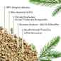 Preview: Katzenstreu Pinie 8 kg - doppelt ergiebig, herrlicher Holzduft Preview: Katzenstreu Pinie 8 kg - doppelt ergiebig, herrlicher Holzduft