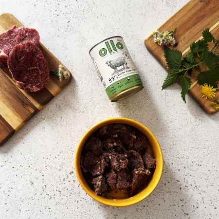 OlloDog - Hundefutter Booster Grüne Pansen 400 g