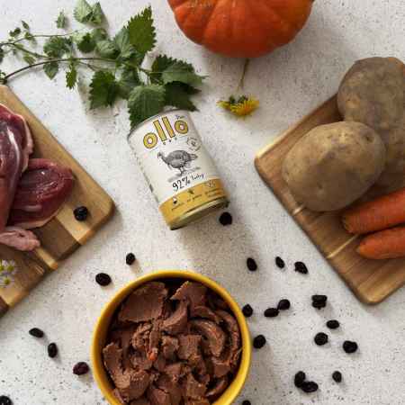 OlloDog - Hundefutter Pure Pute 400 g