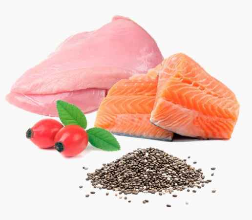 PuroMenu 96 % Truthahn und Lachs, mit Weizengras und Hanfsamen 100g Beutel