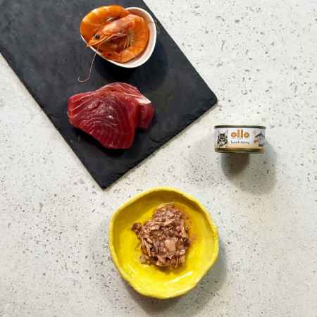 OLLO CAT 1 - Thunfisch + Garnelen 70 g