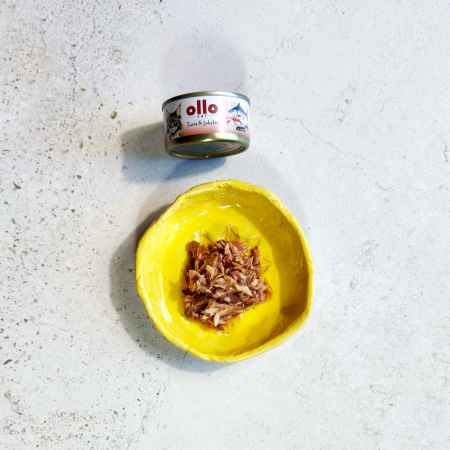OLLO CAT 11 - Thunfisch + Hummer 70 g