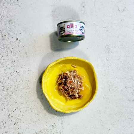 OLLO CAT 2 - Thunfisch, Huhn + Lachs 70 g
