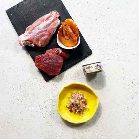 OLLO CAT 3 - Thunfisch, Huhn + Garnele 70 g