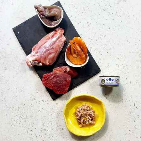OLLO CAT 4 - Thunfisch, Huhn + Tintenfisch 70 g