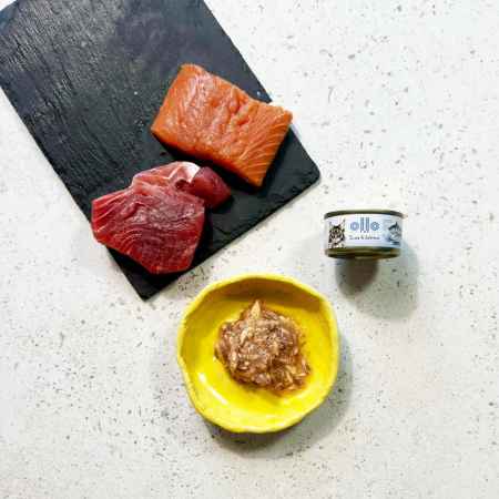 OLLO CAT 5 - Thunfisch + Lachs 70 g