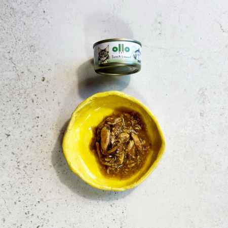 OLLO CAT 8 - Thunfisch + Seetang 70 g