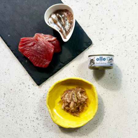 OLLO CAT 9 - Thunfisch + Sardellen 70 g