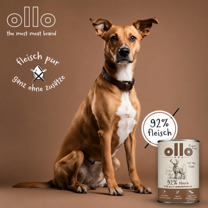 OlloDog - Hundefutter Purer Hirsch 400 g