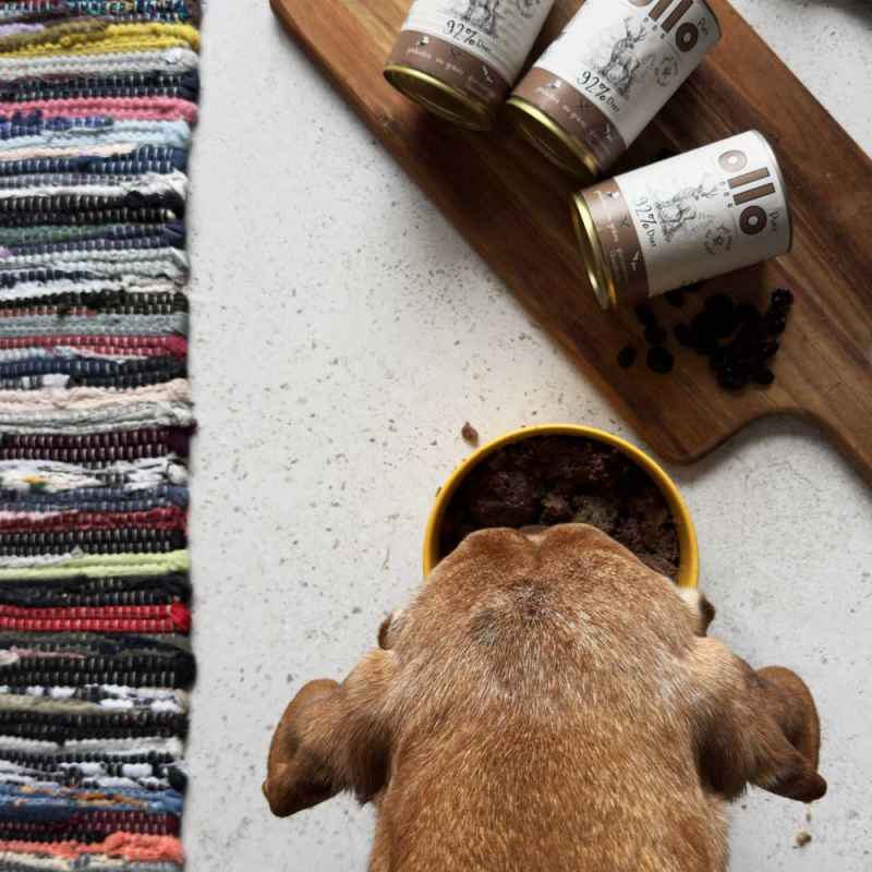 OlloDog - Hundefutter Purer Hirsch 400 g