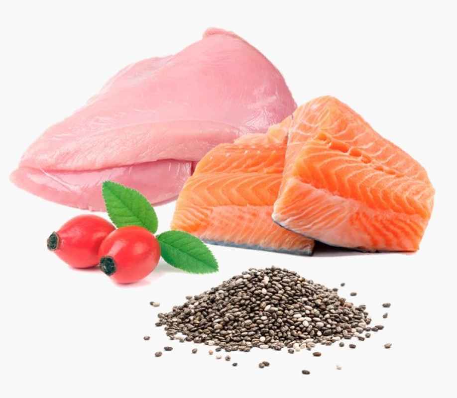 PuroMenu 96 % Truthahn und Lachs, mit Weizengras und Hanfsamen 100g Beutel