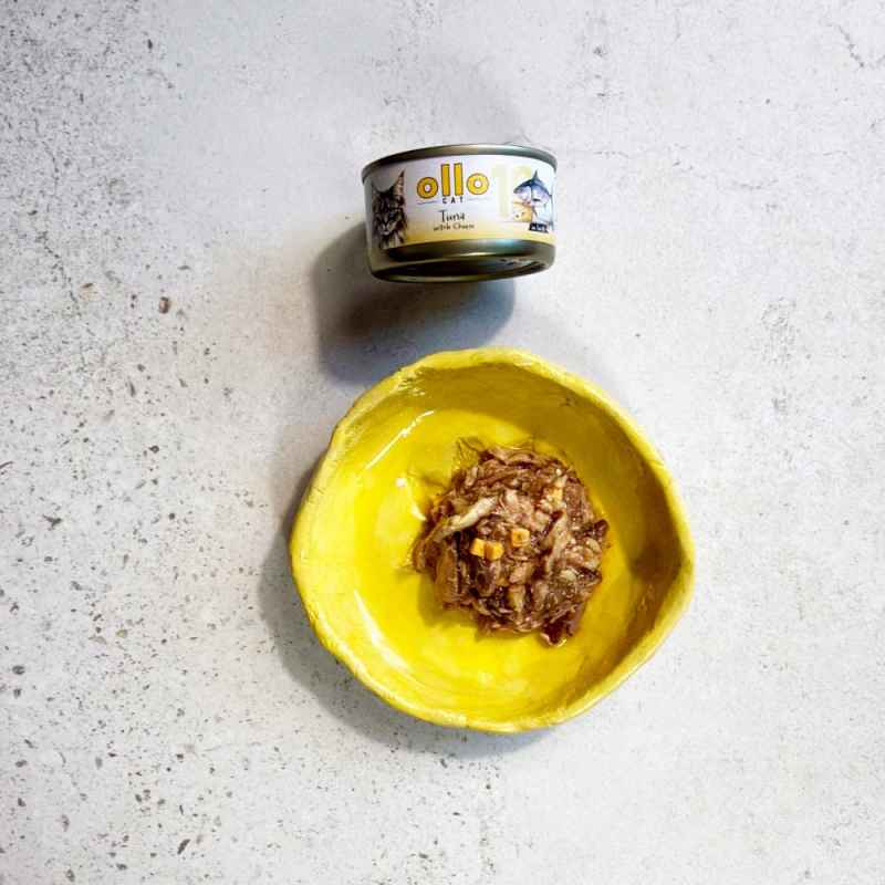 OLLO CAT 10 - Thunfisch + Käse 70 g