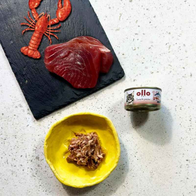 OLLO CAT 11 - Thunfisch + Hummer 70 g