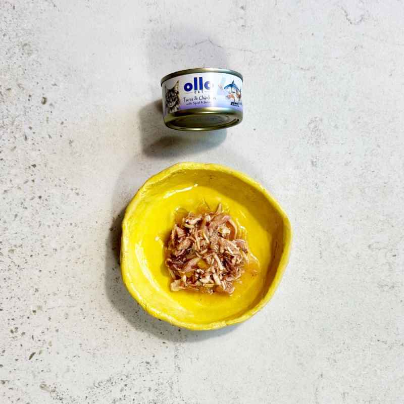 OLLO CAT 4 - Thunfisch, Huhn + Tintenfisch 70 g