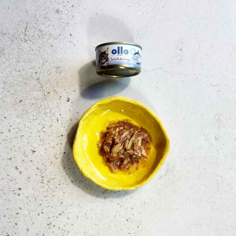 OLLO CAT 9 - Thunfisch + Sardellen 70 g
