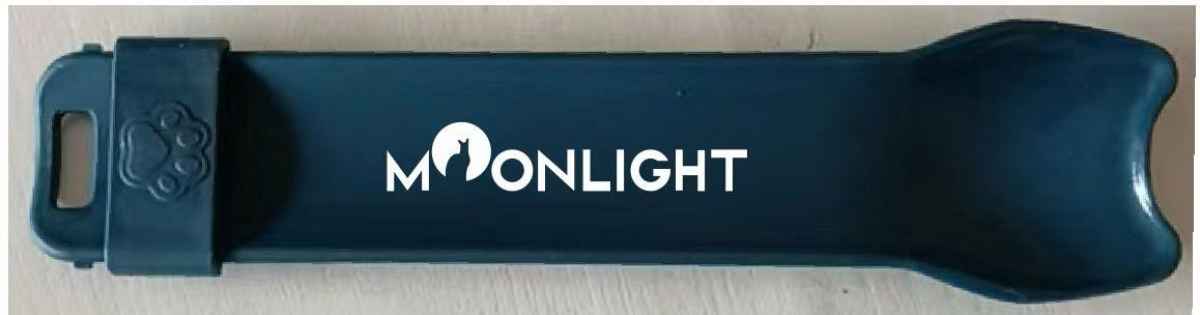 Moonlight-Dinner Schlecklöffel für Filetcreme